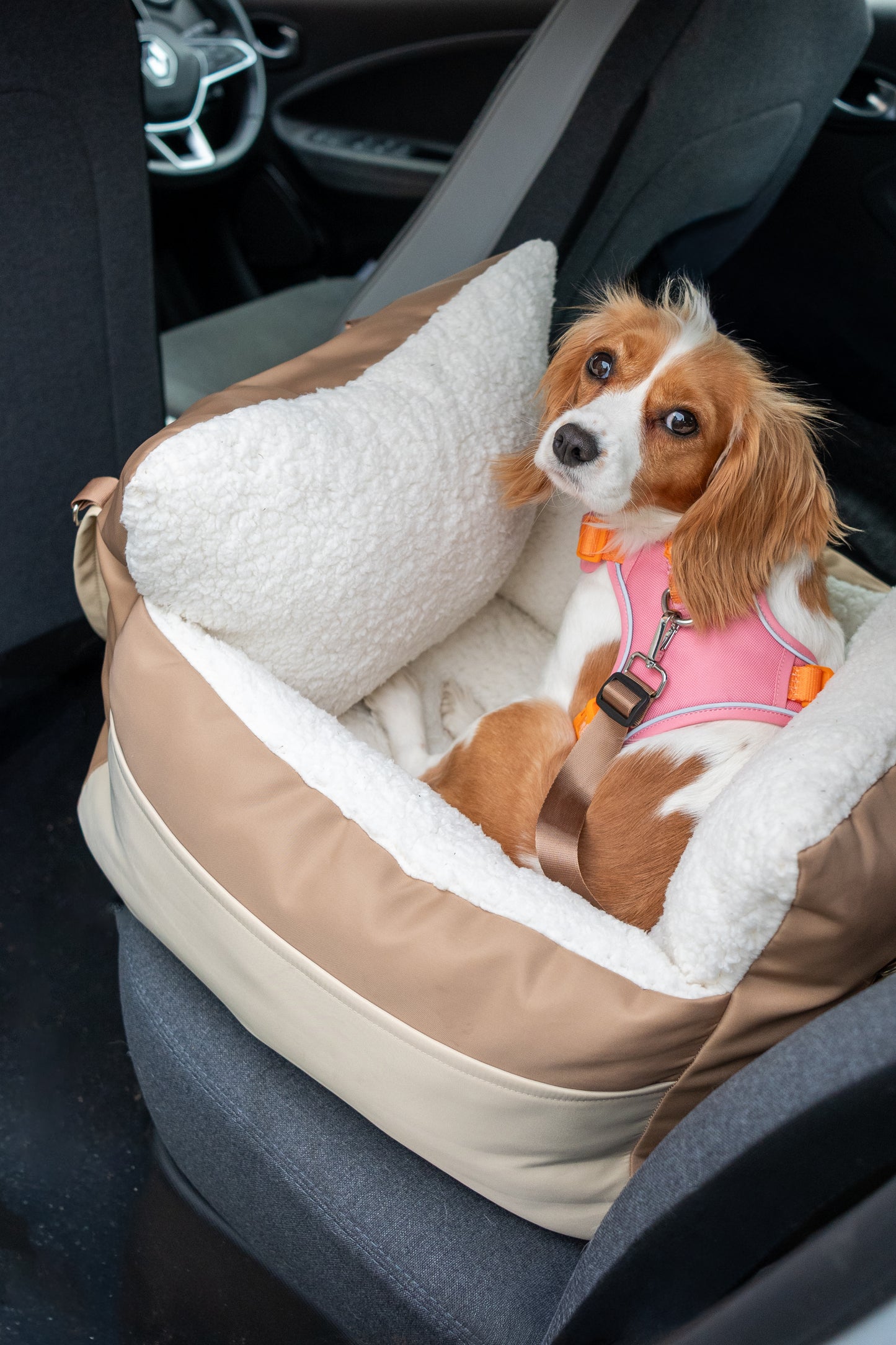 Car Seat Bed