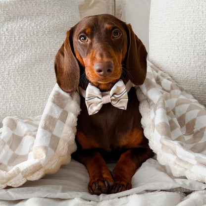 Cosy Blanket