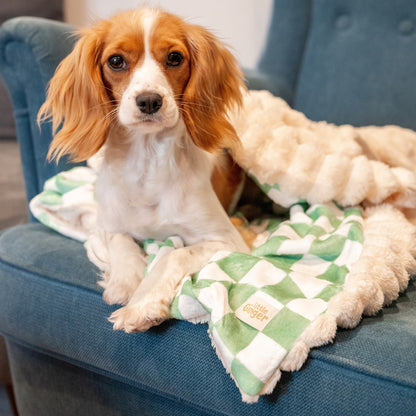 Cosy Blanket