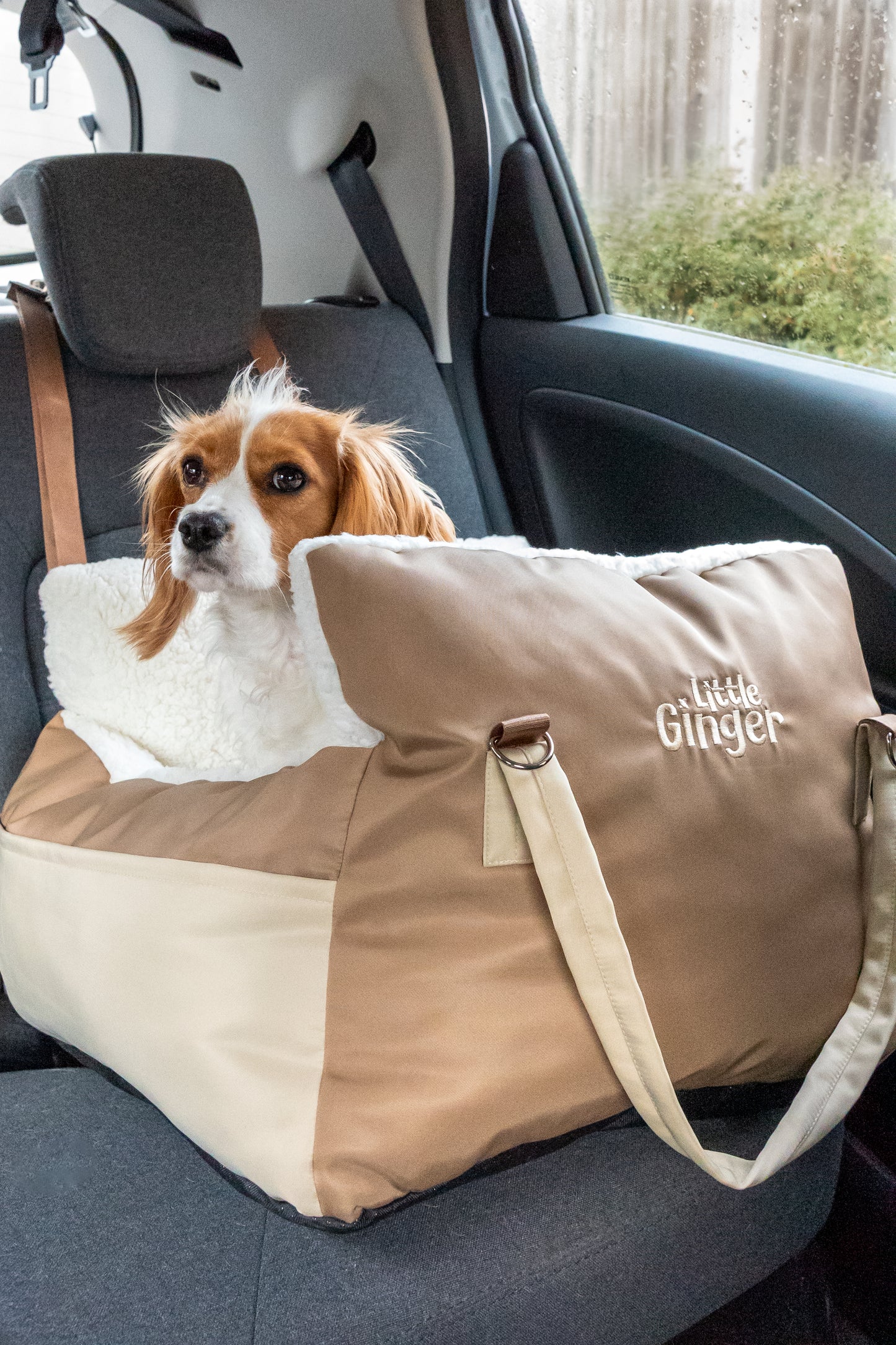Car Seat Bed