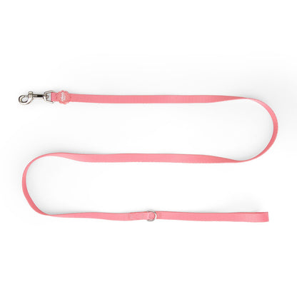Small Pet Lead