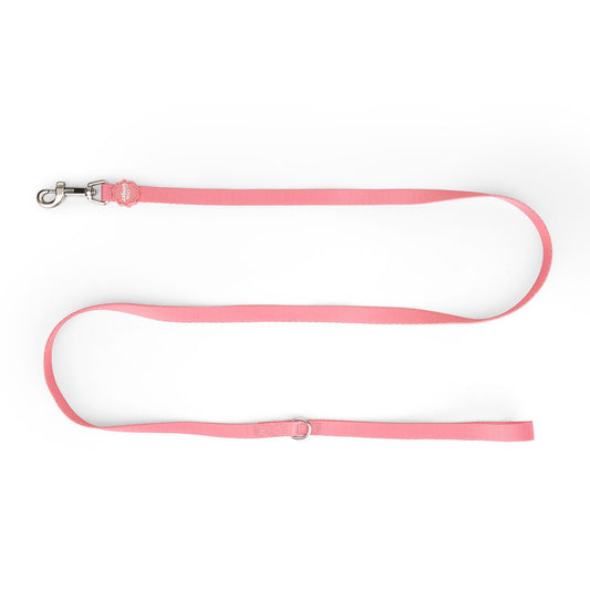 Small Pet Lead