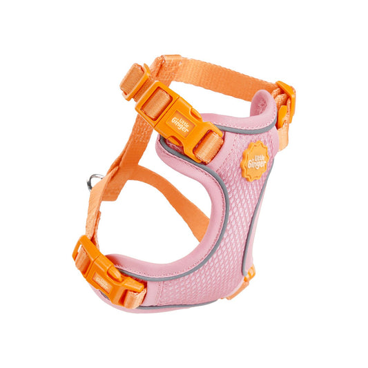 Small Pet Harness