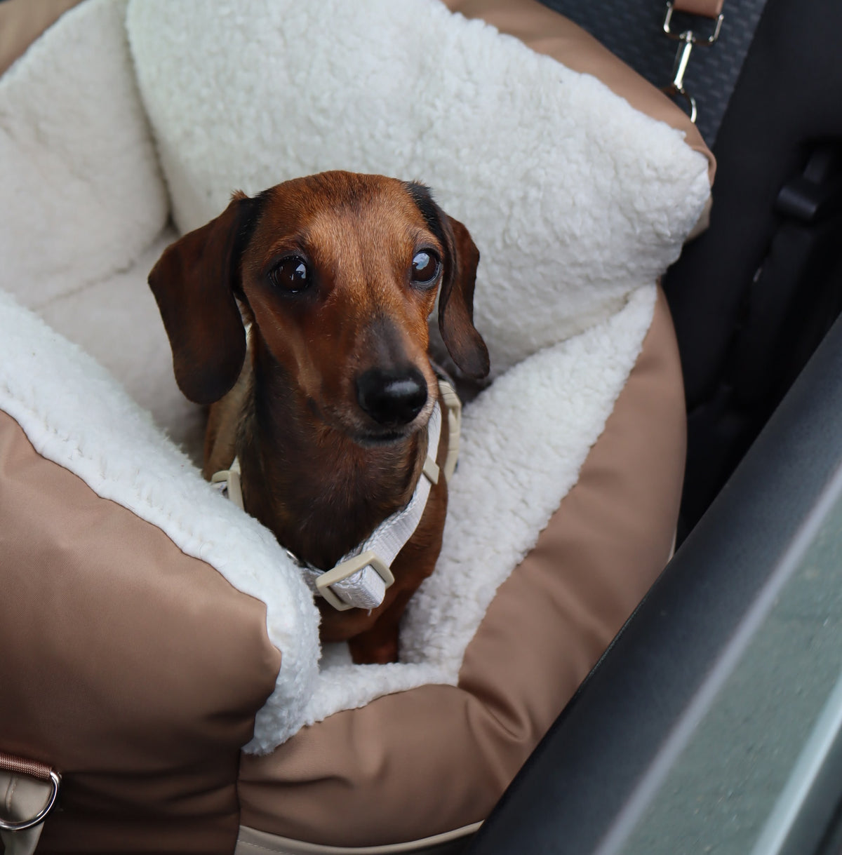 Car Seat Bed